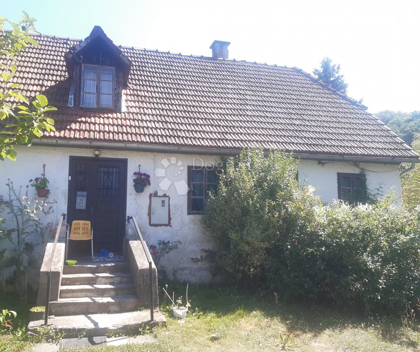 Fotografija