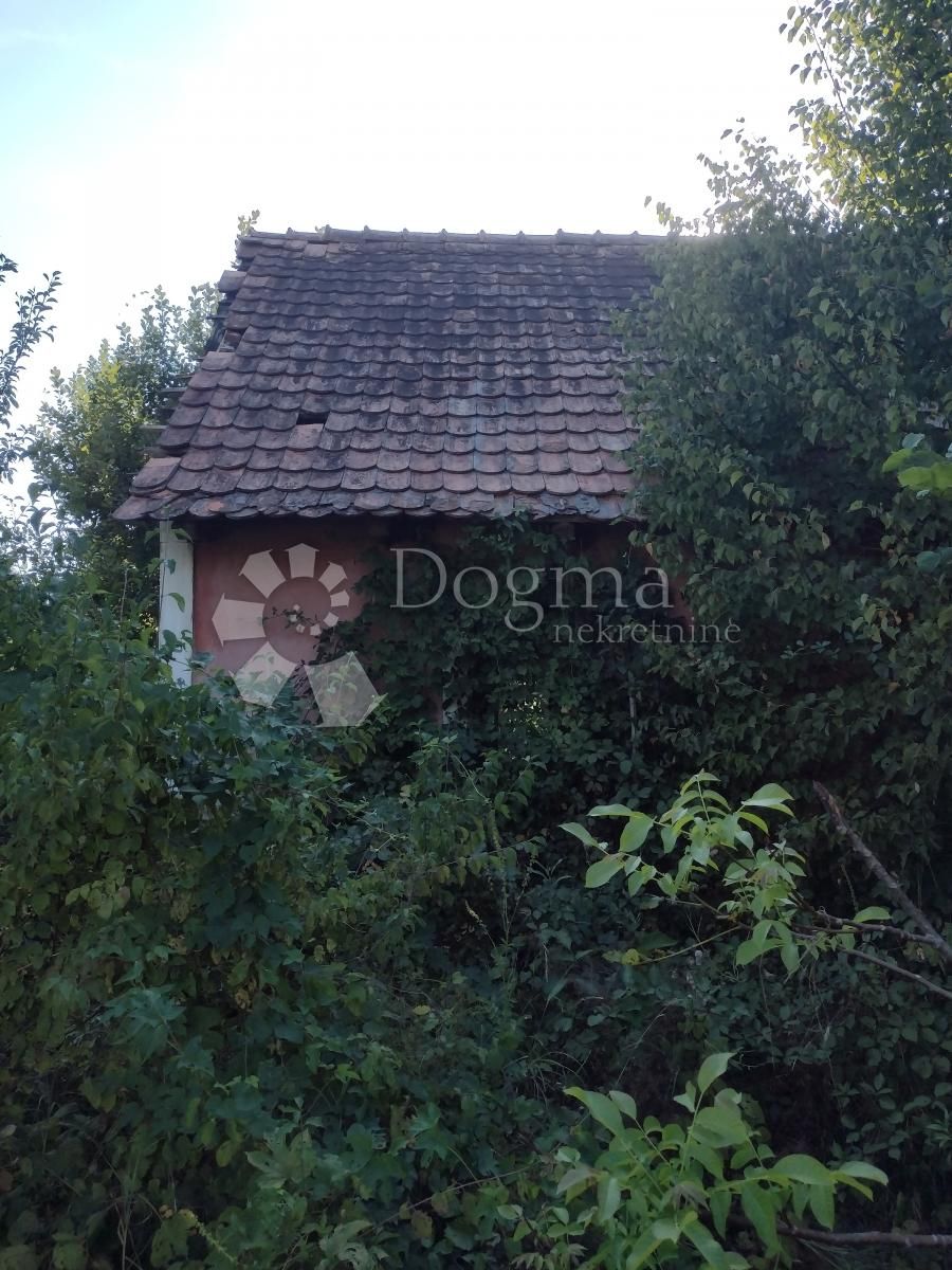 Fotografija