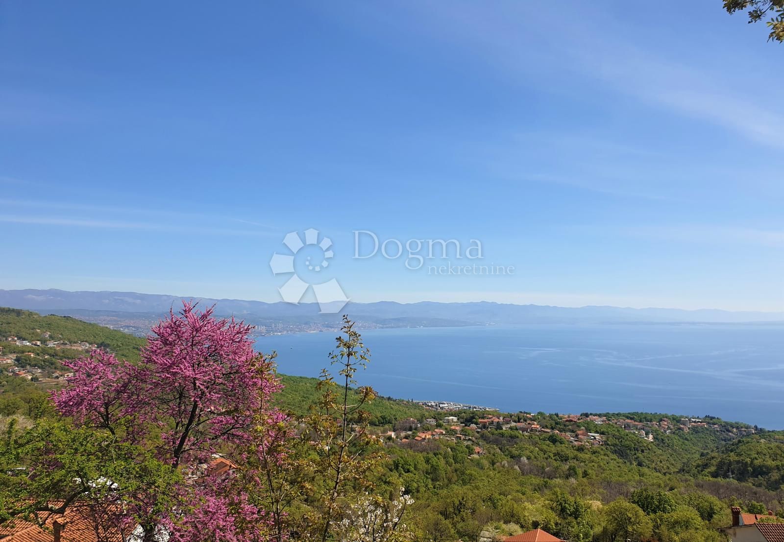 Fotografija