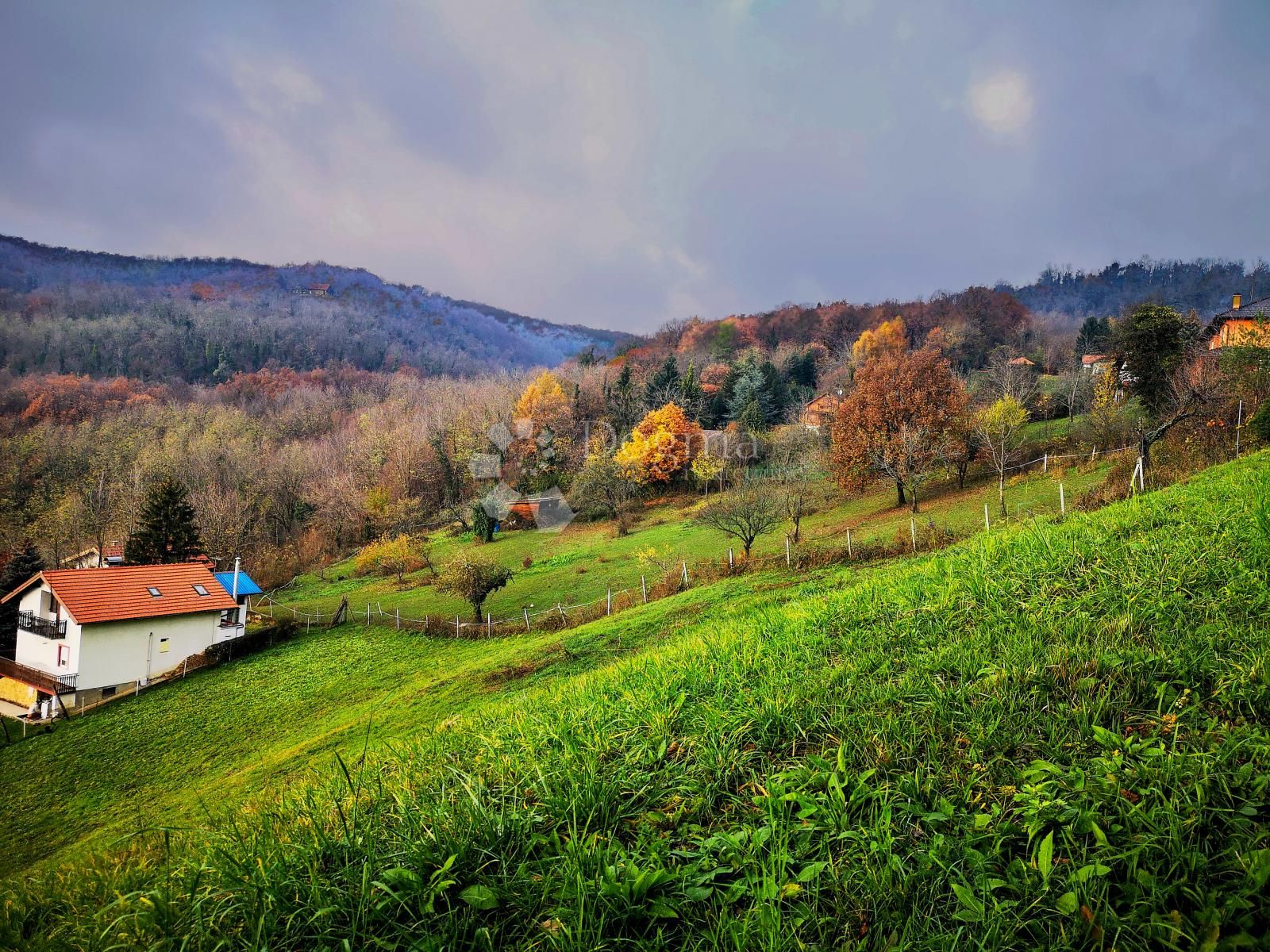 Fotografija