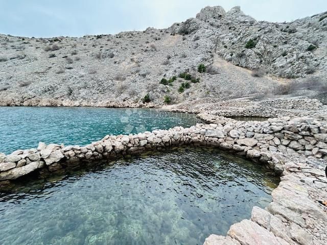 Fotografija