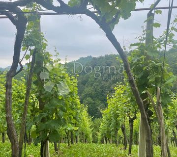 Klijet s vinogradom i voćnjakom, 3814m2 - cover