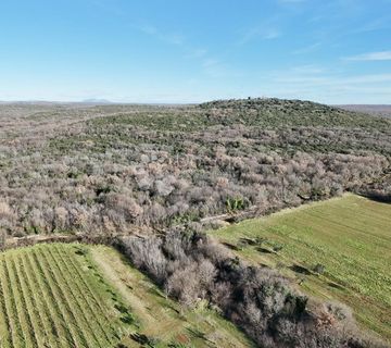 Poljoprivredno zemljište na brežuljku u Balama ,15257m2 - cover
