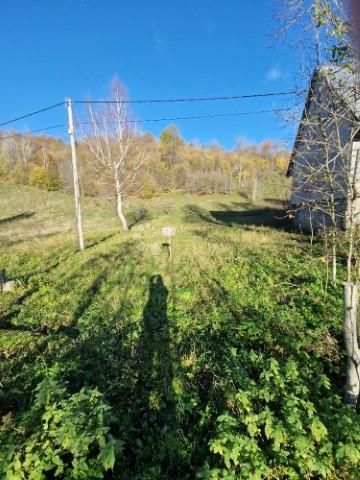 Fotografija