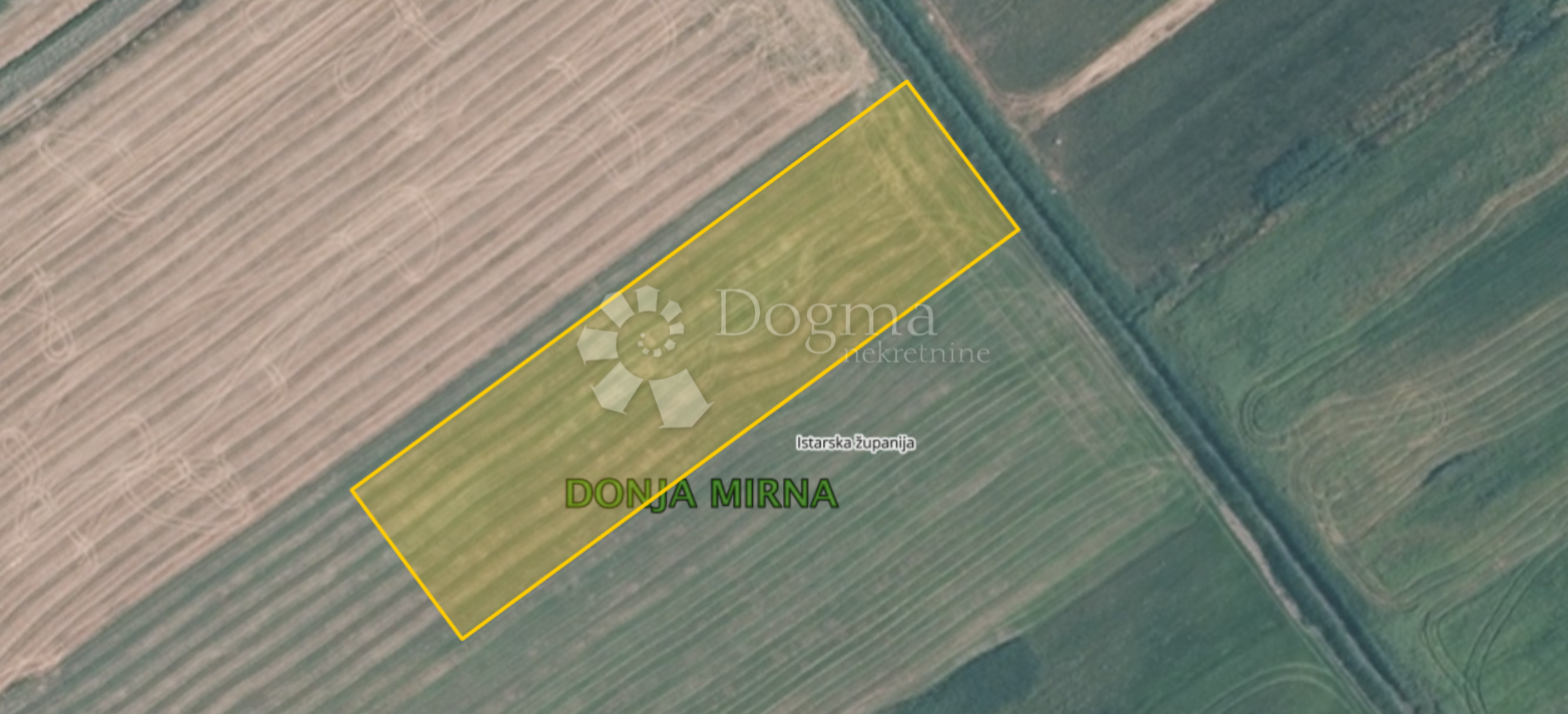 Fotografija