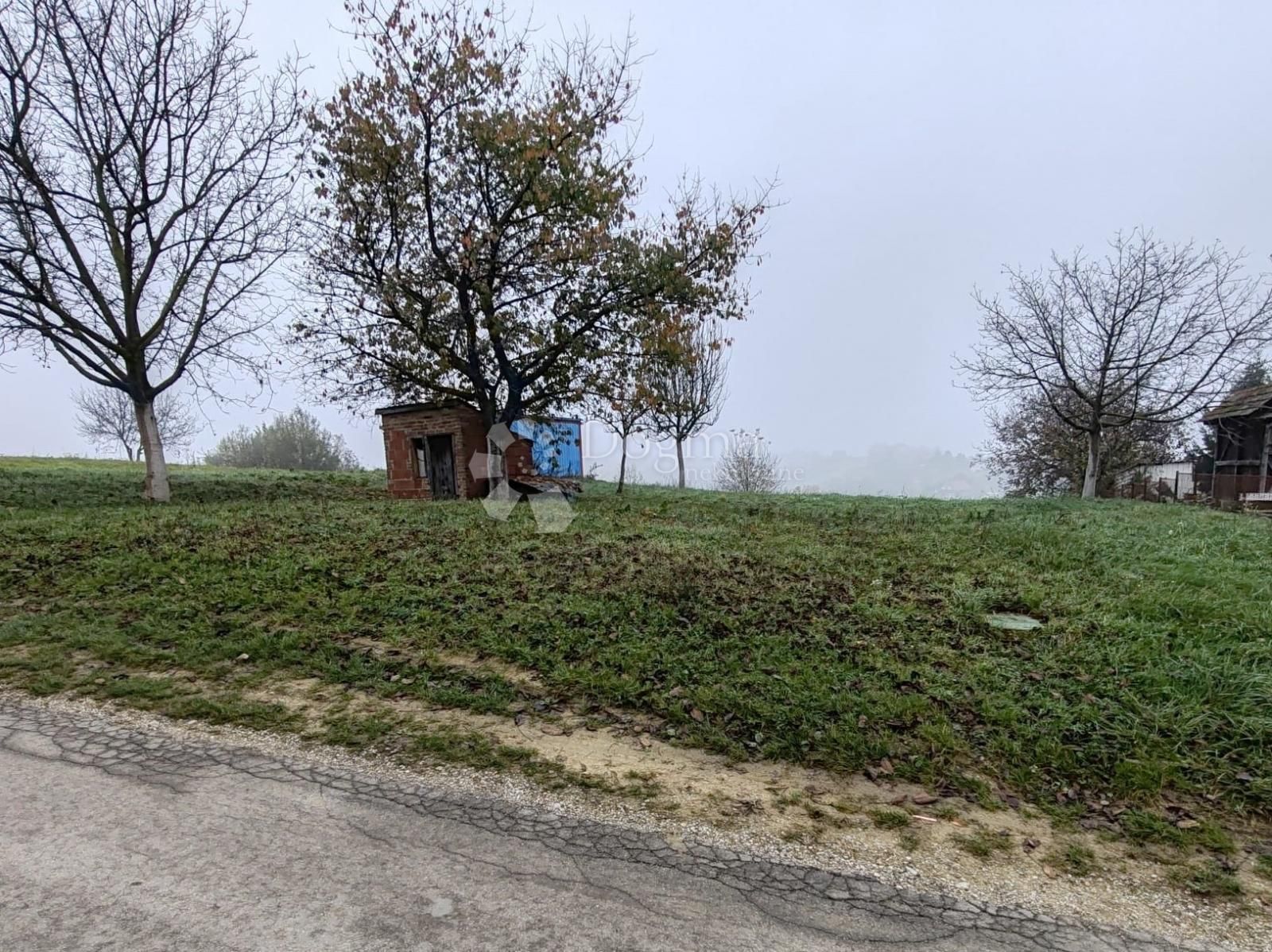 Fotografija