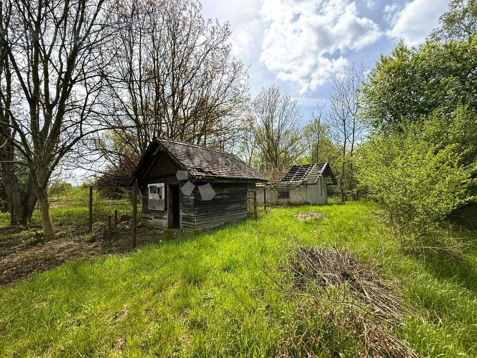 Fotografija