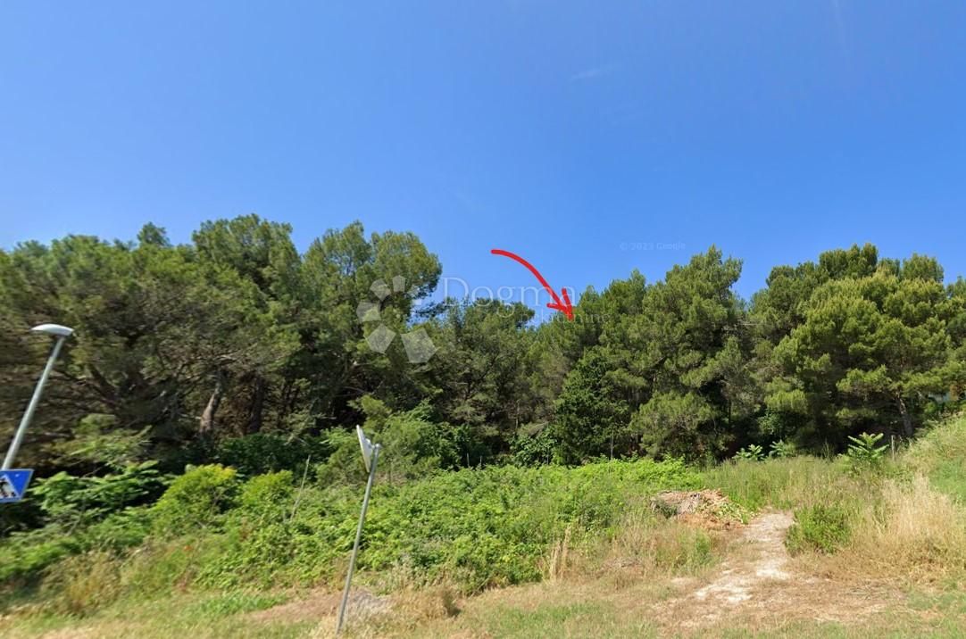 Fotografija
