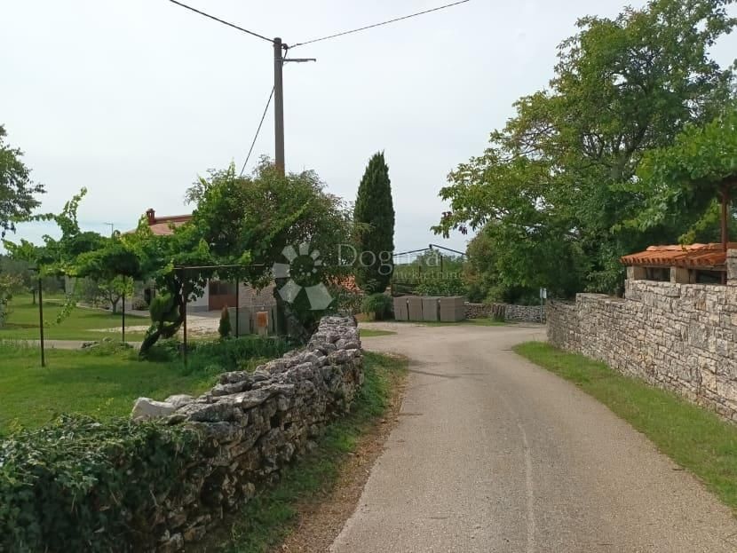 Fotografija