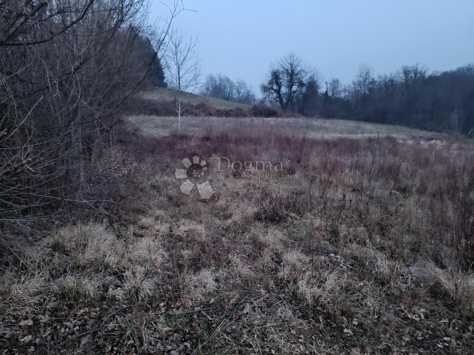 Fotografija