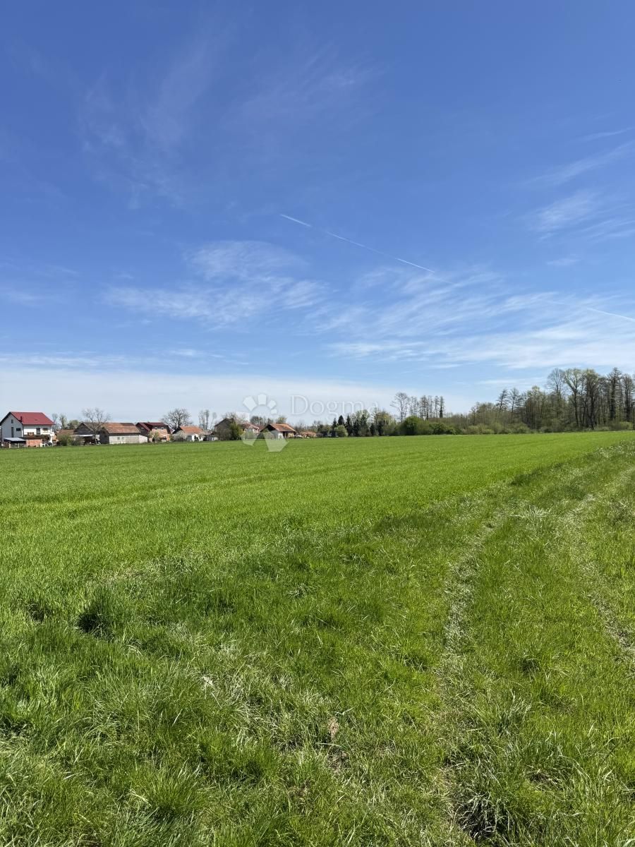 Fotografija