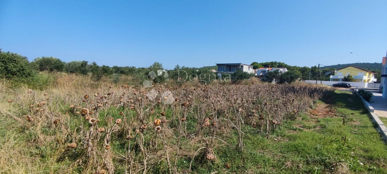 Fotografija