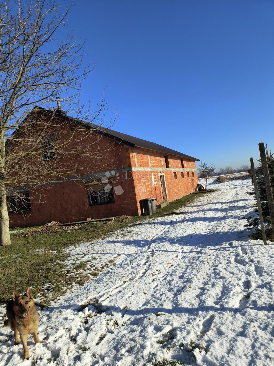 Fotografija