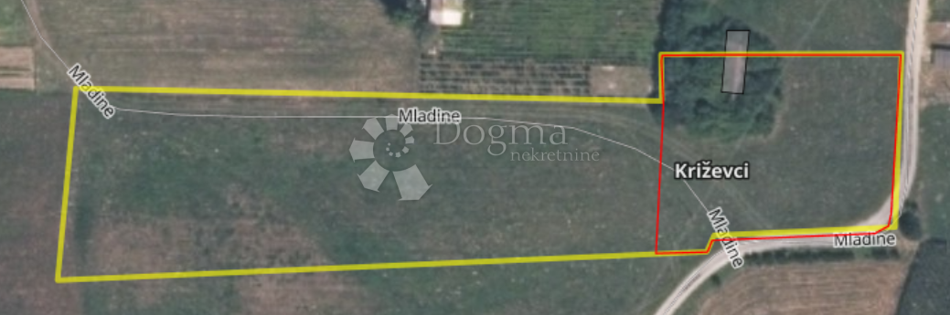 Fotografija