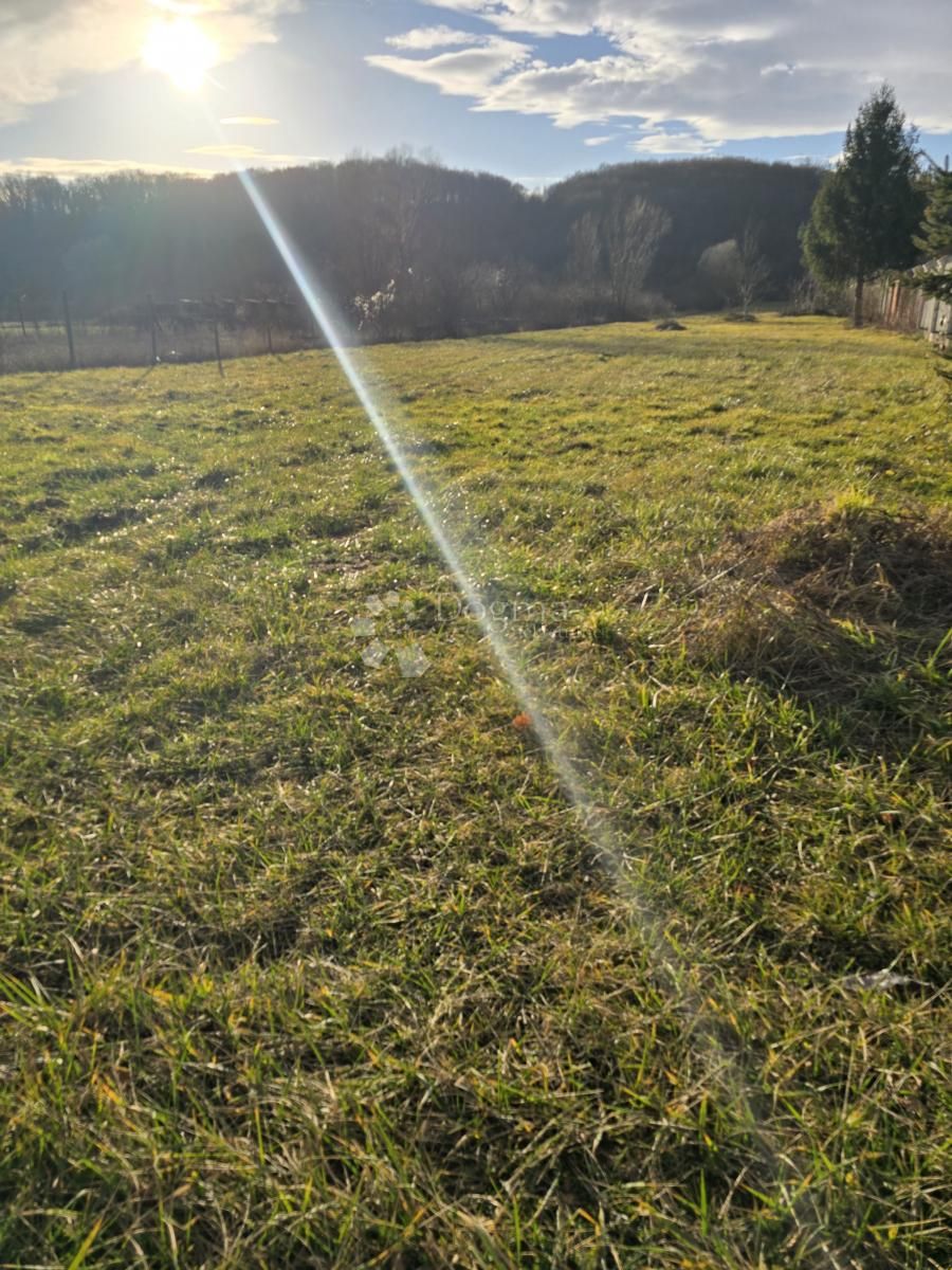 Fotografija