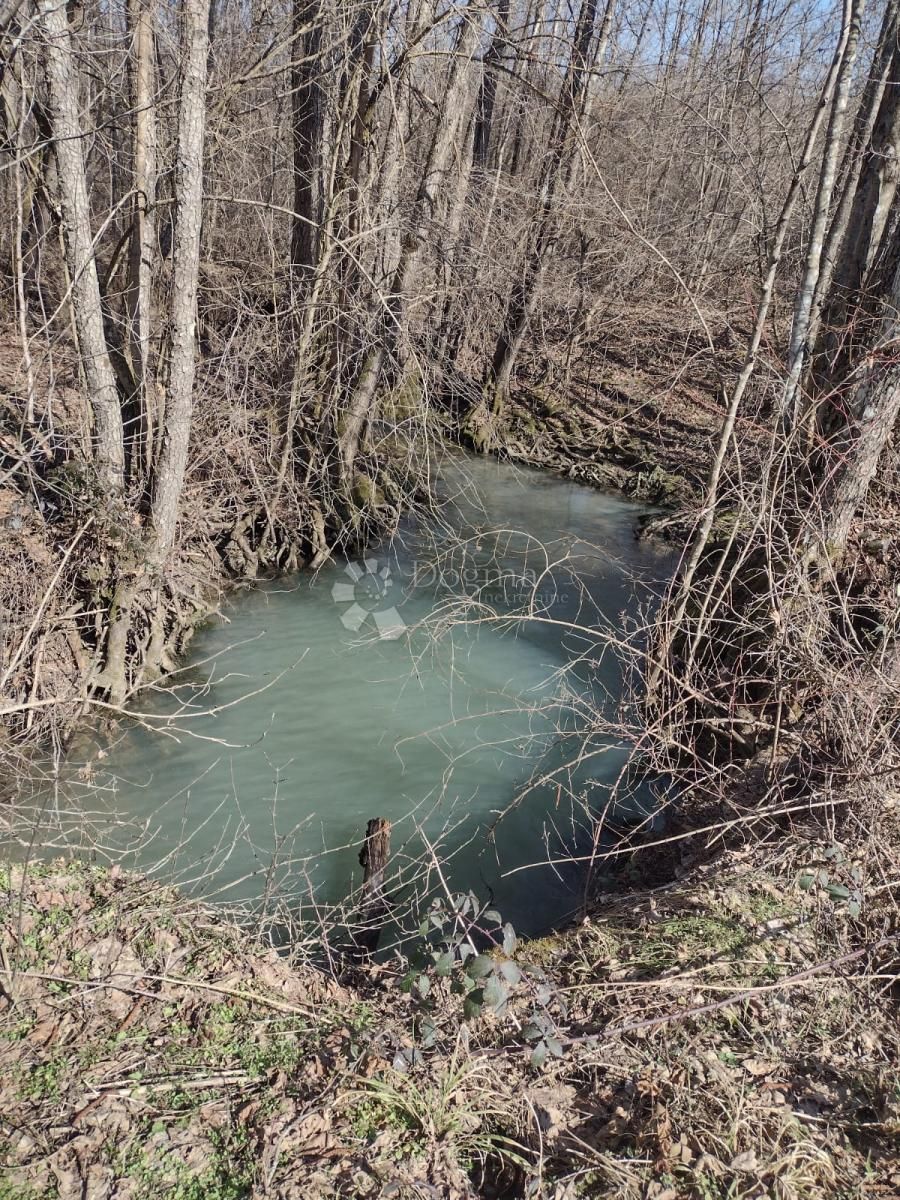 Fotografija