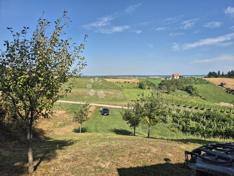 Fotografija