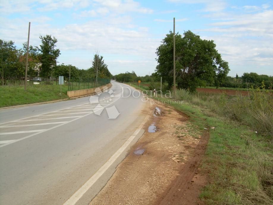 Fotografija