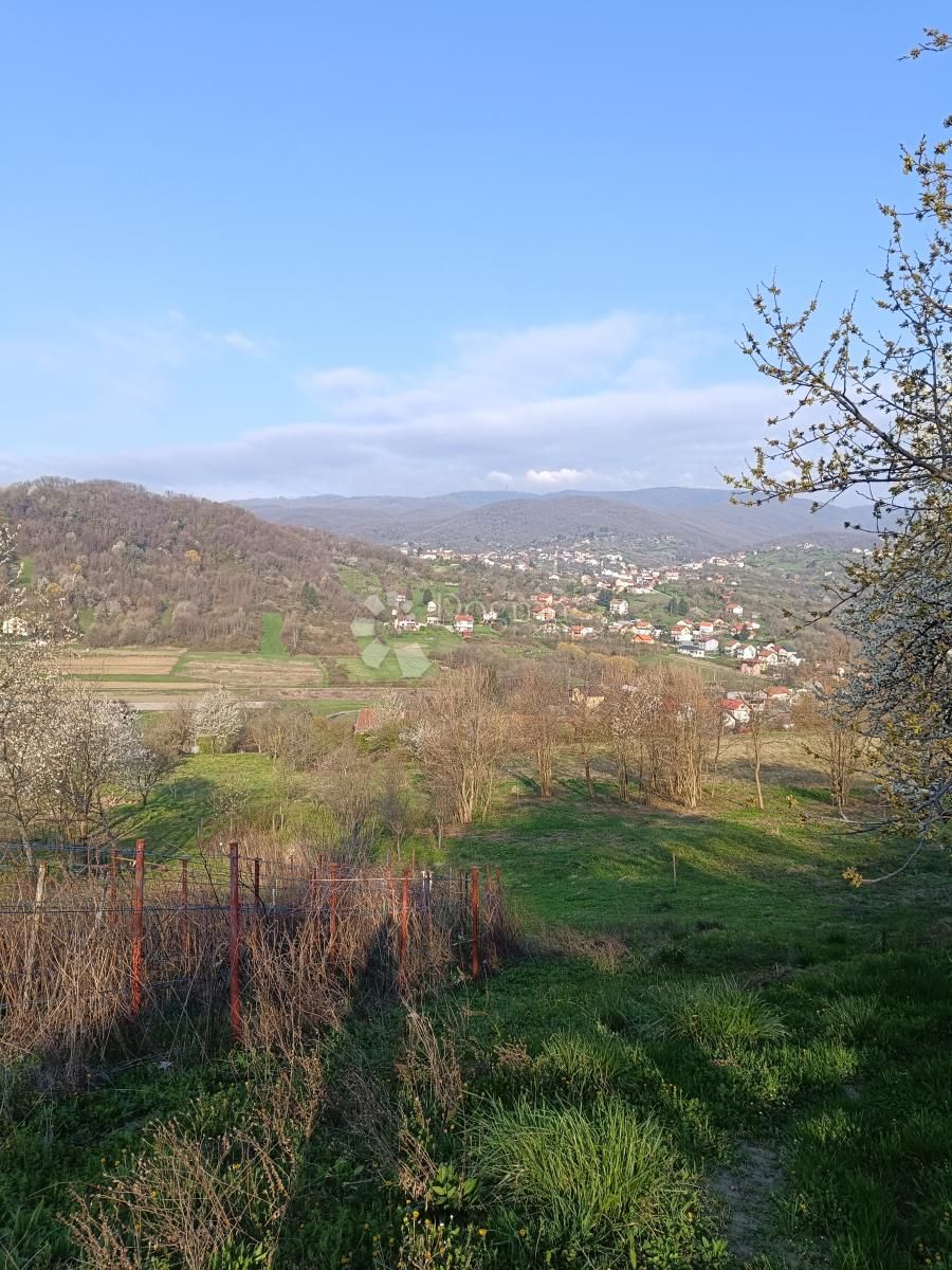 Fotografija