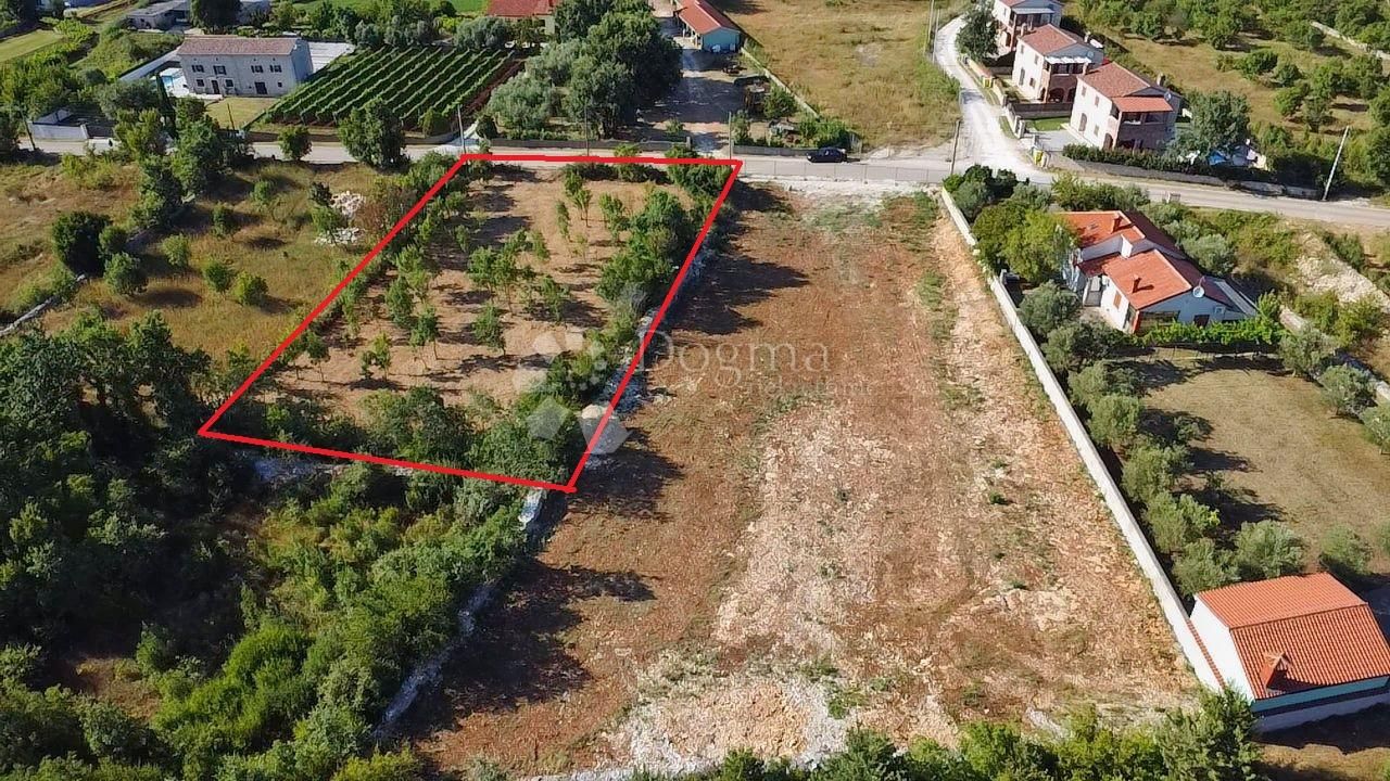 Fotografija