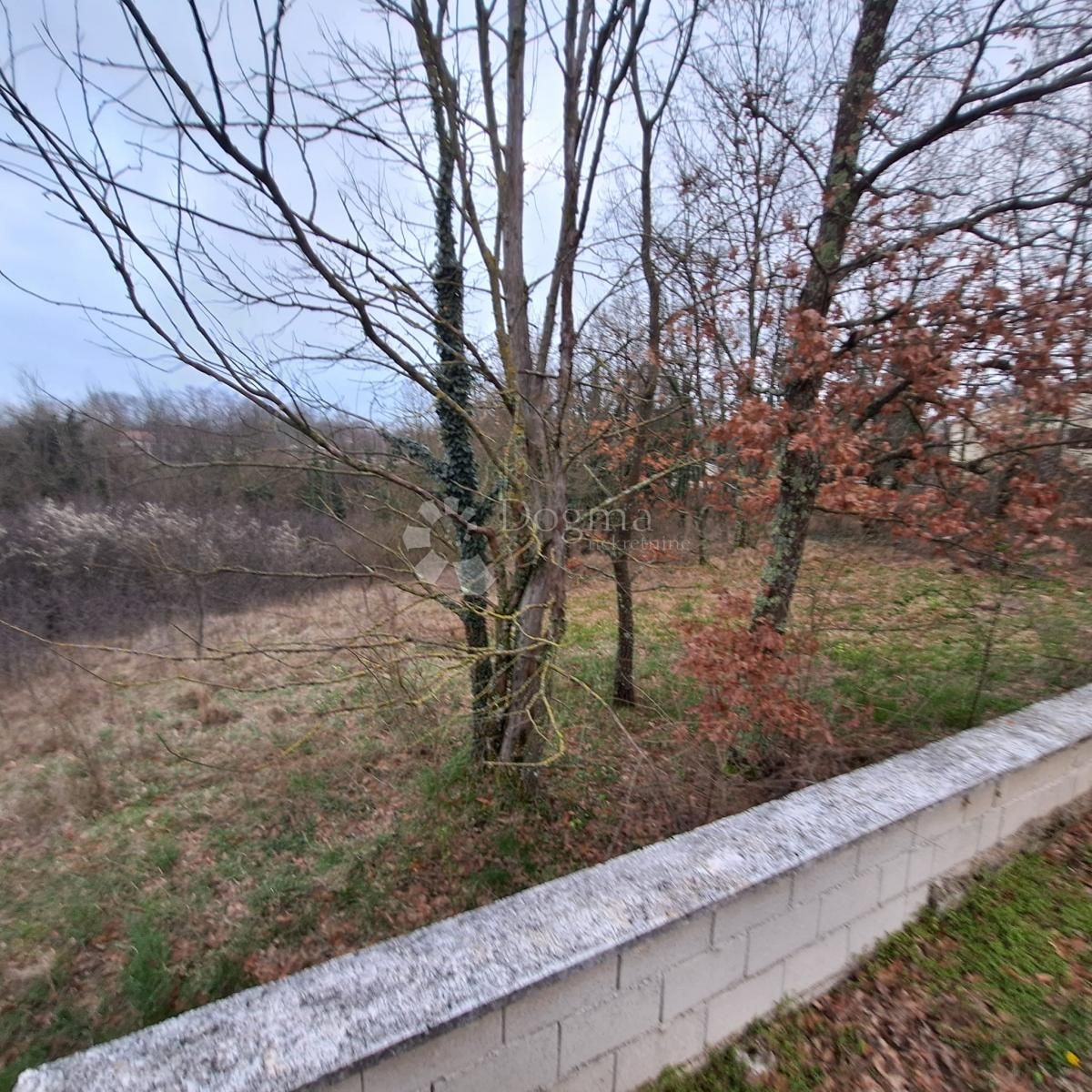 Fotografija