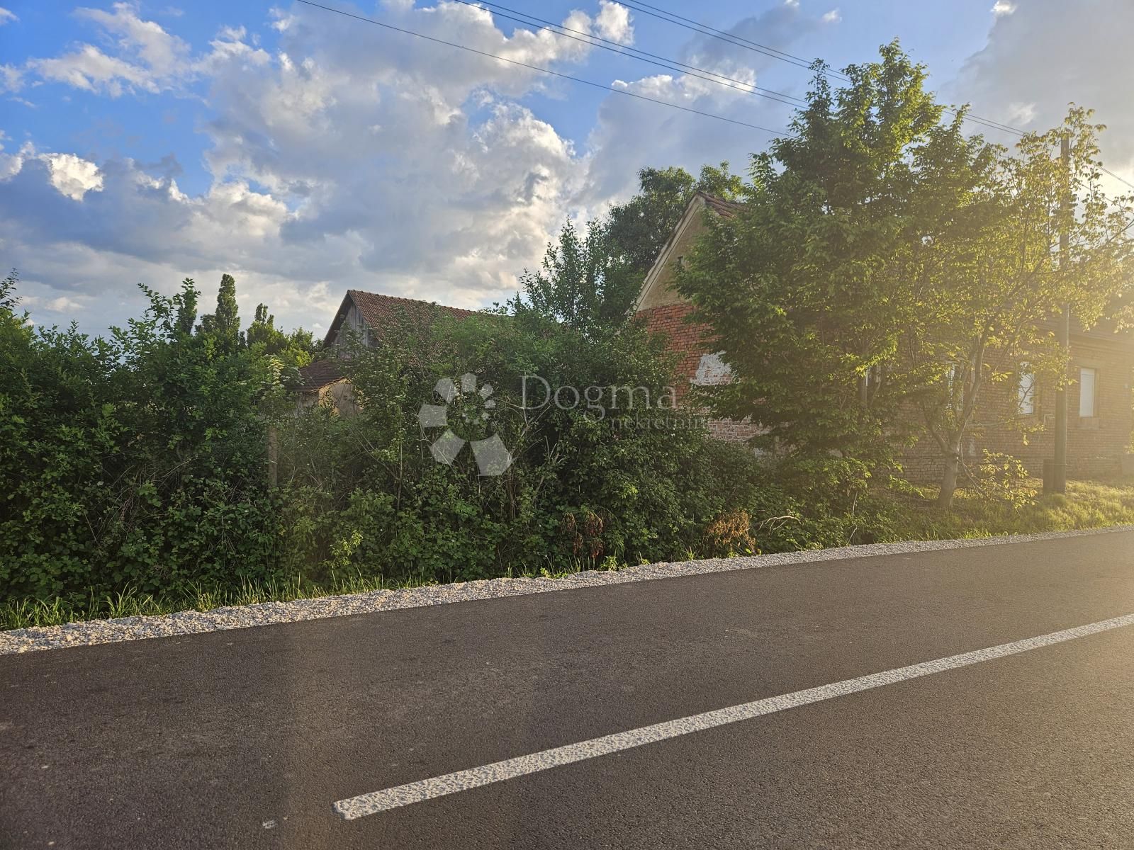 Fotografija