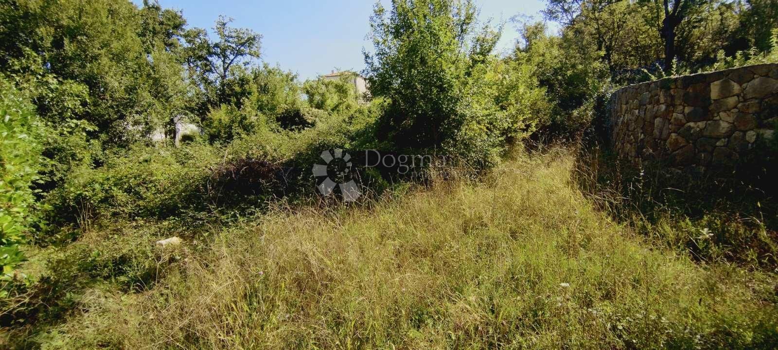 Fotografija
