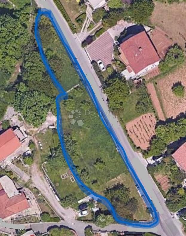 Fotografija