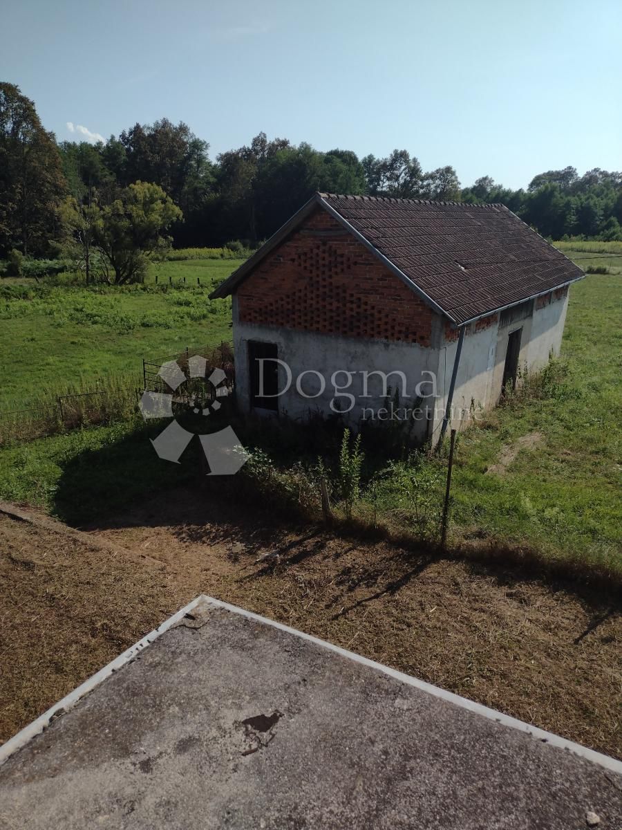 Fotografija