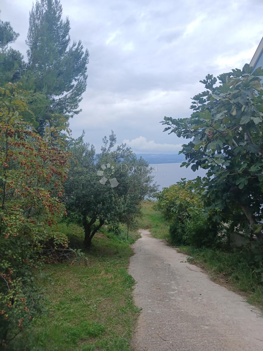 Fotografija