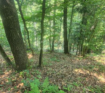 Šuma 15.966m² na području Maclja - cover