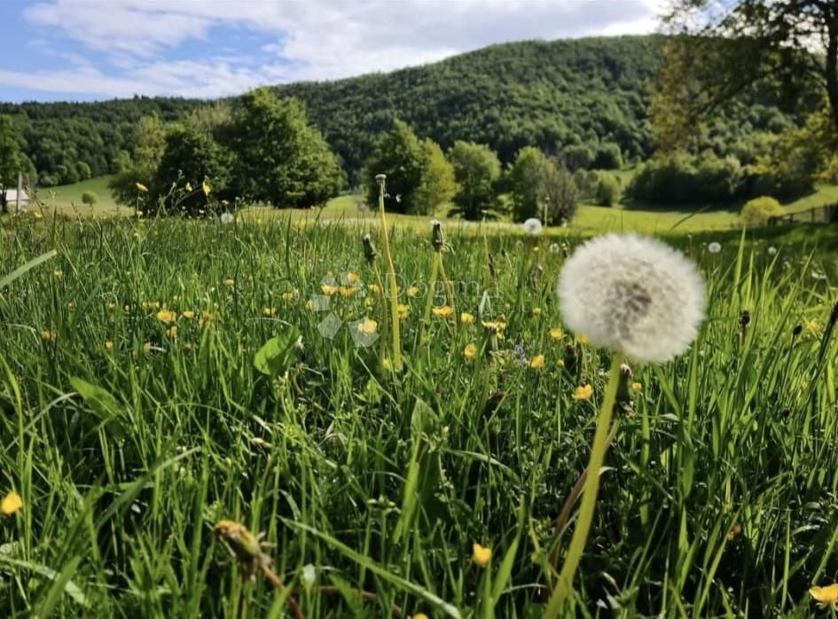 Fotografija