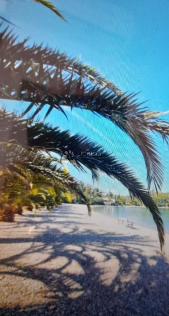 Fotografija