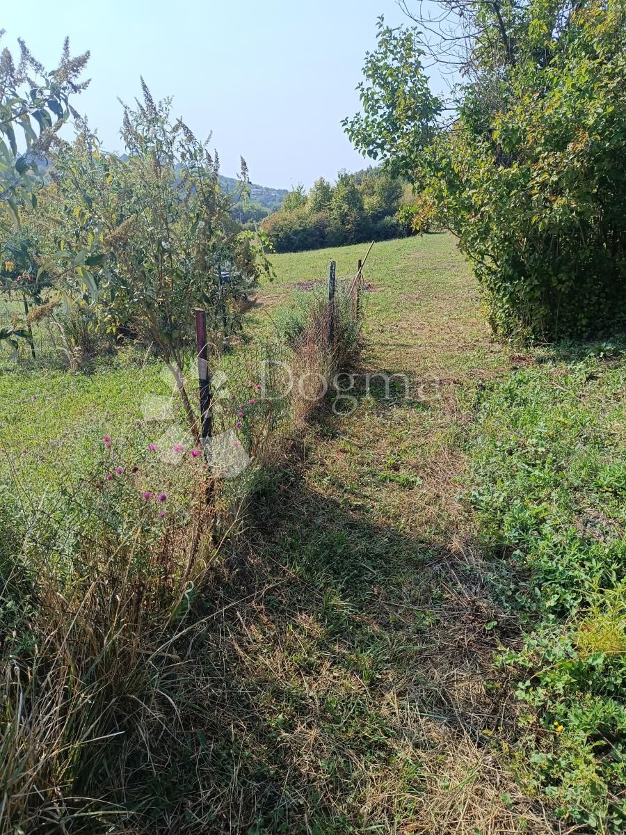 Fotografija