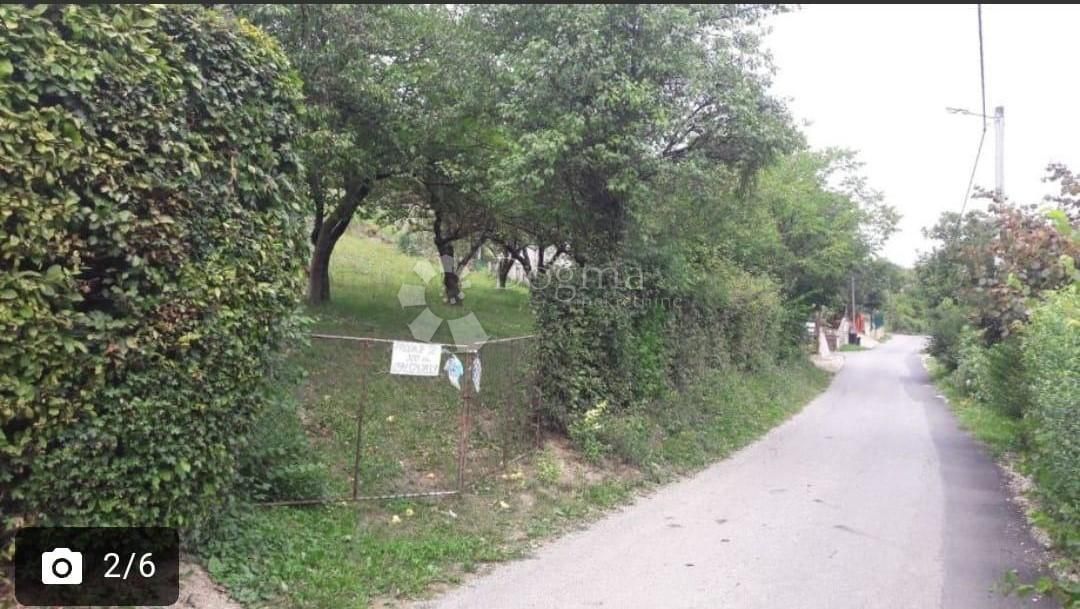 Fotografija