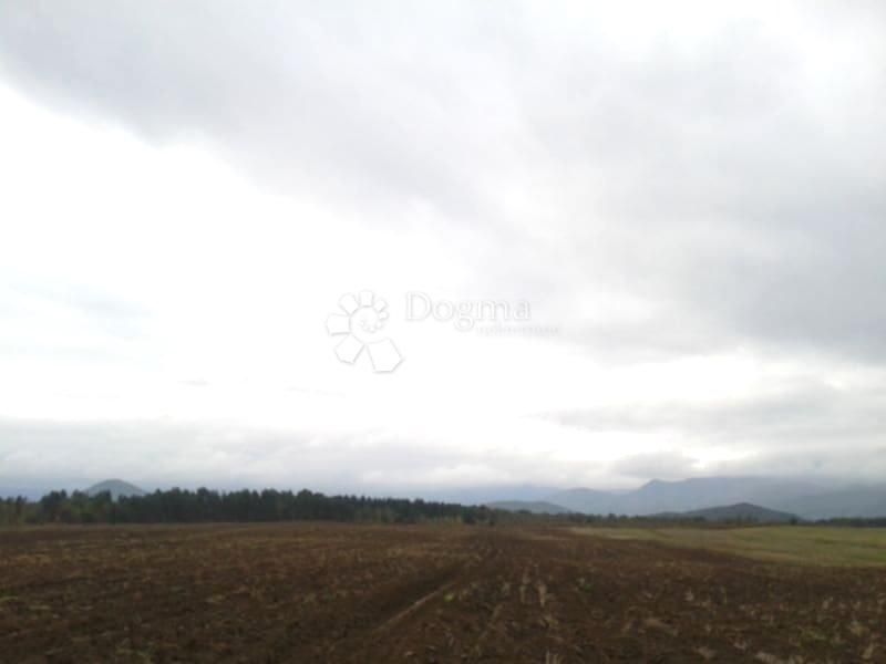 Fotografija