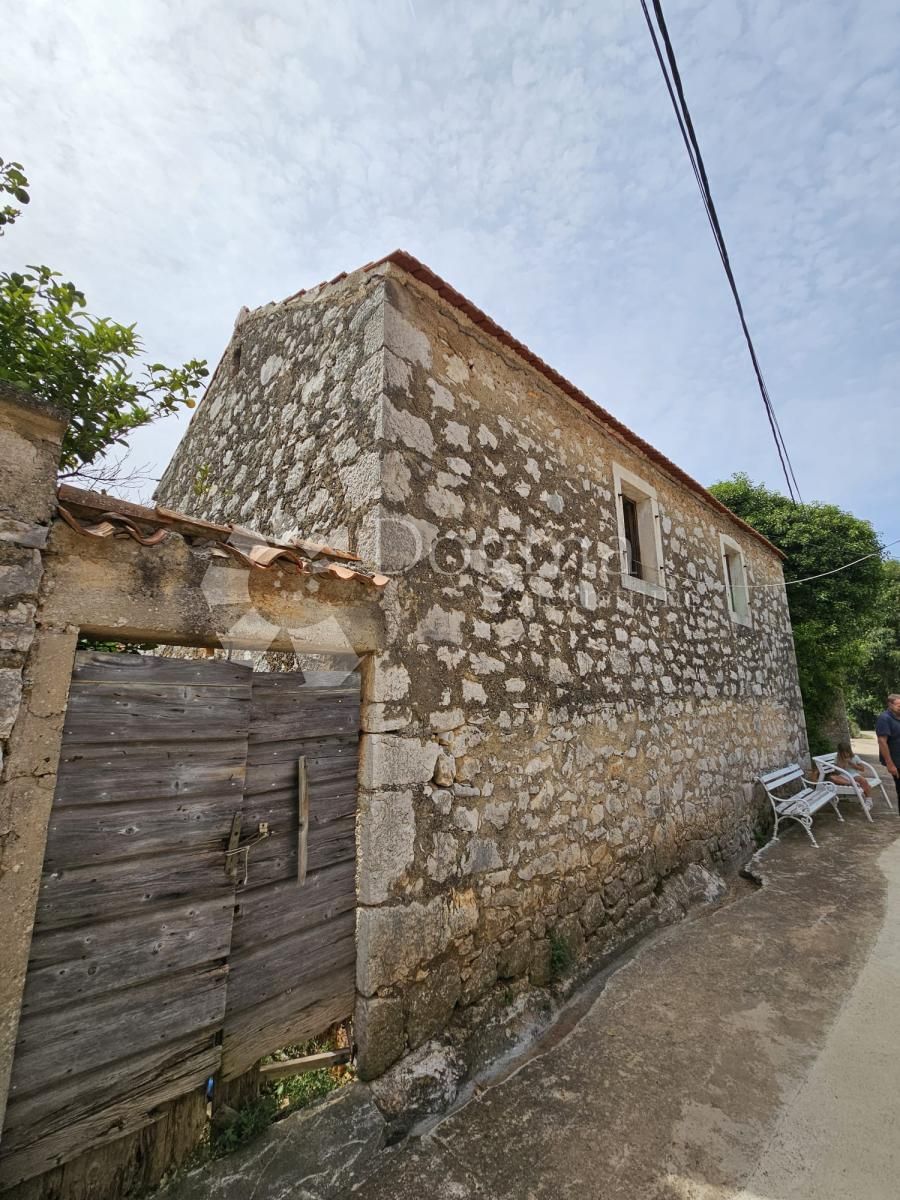 Fotografija