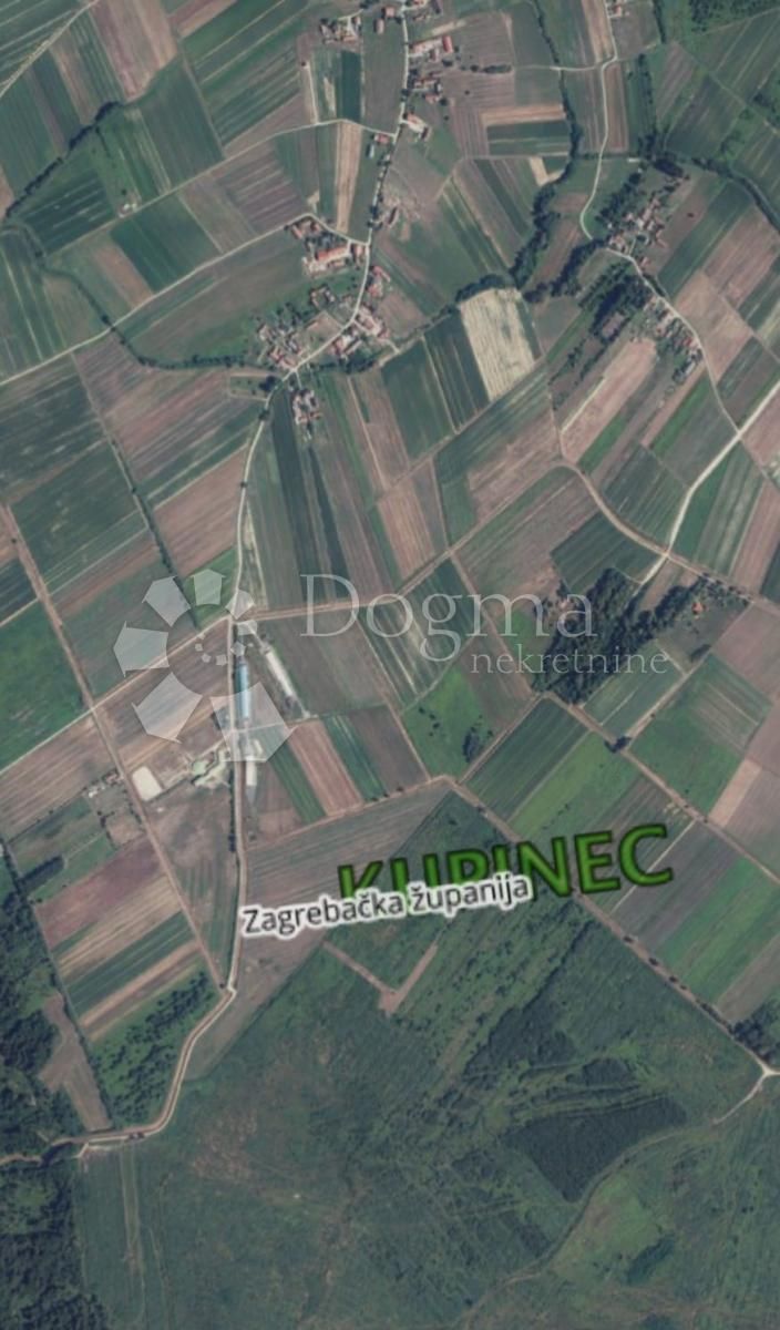 Fotografija