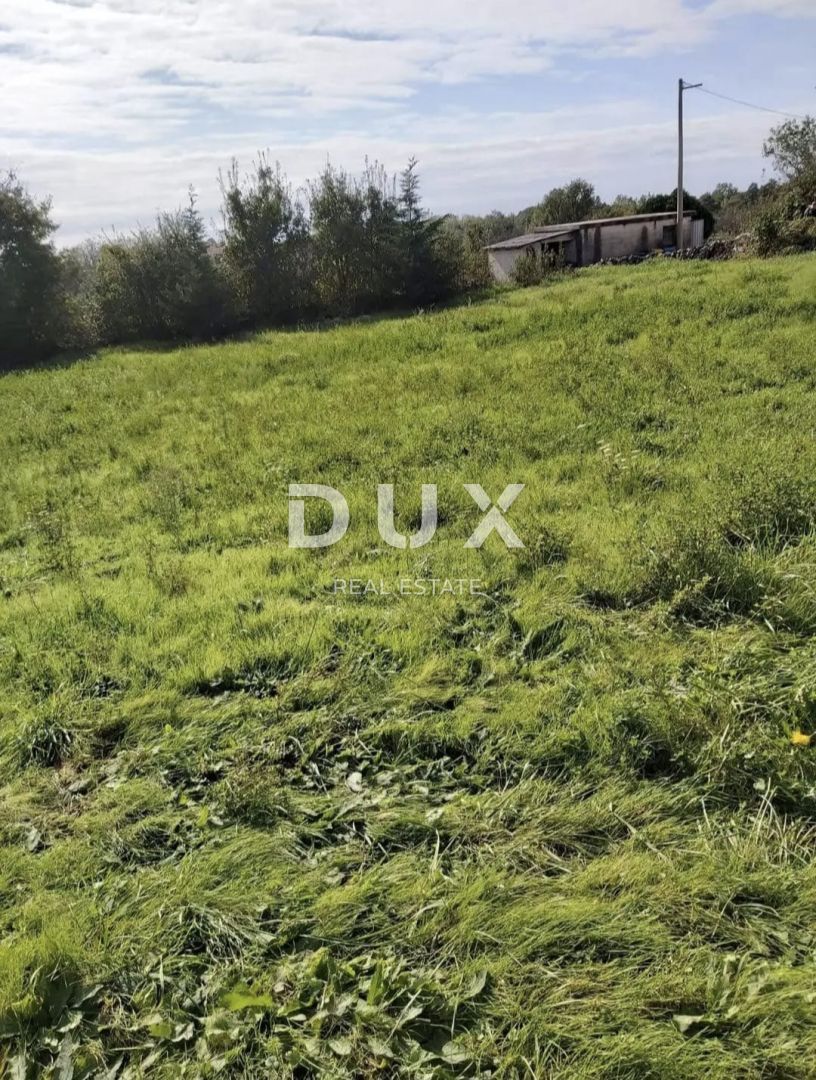 Fotografija