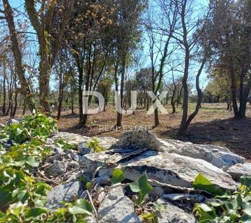 ISTRA, RAKALJ - Građevinsko zemljište sa pogledom na more  - cover