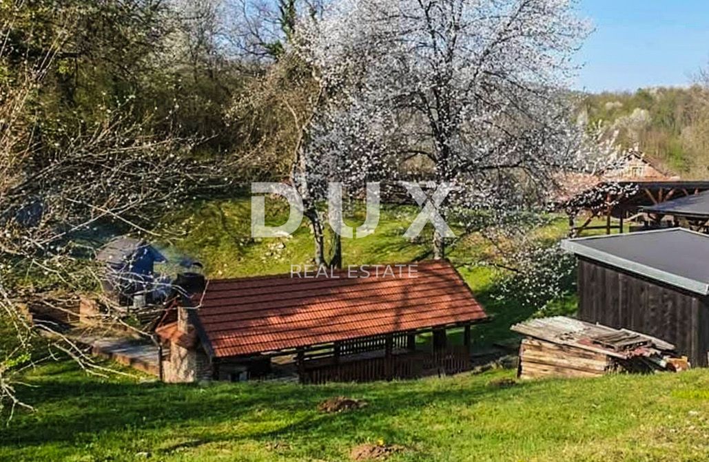 Fotografija