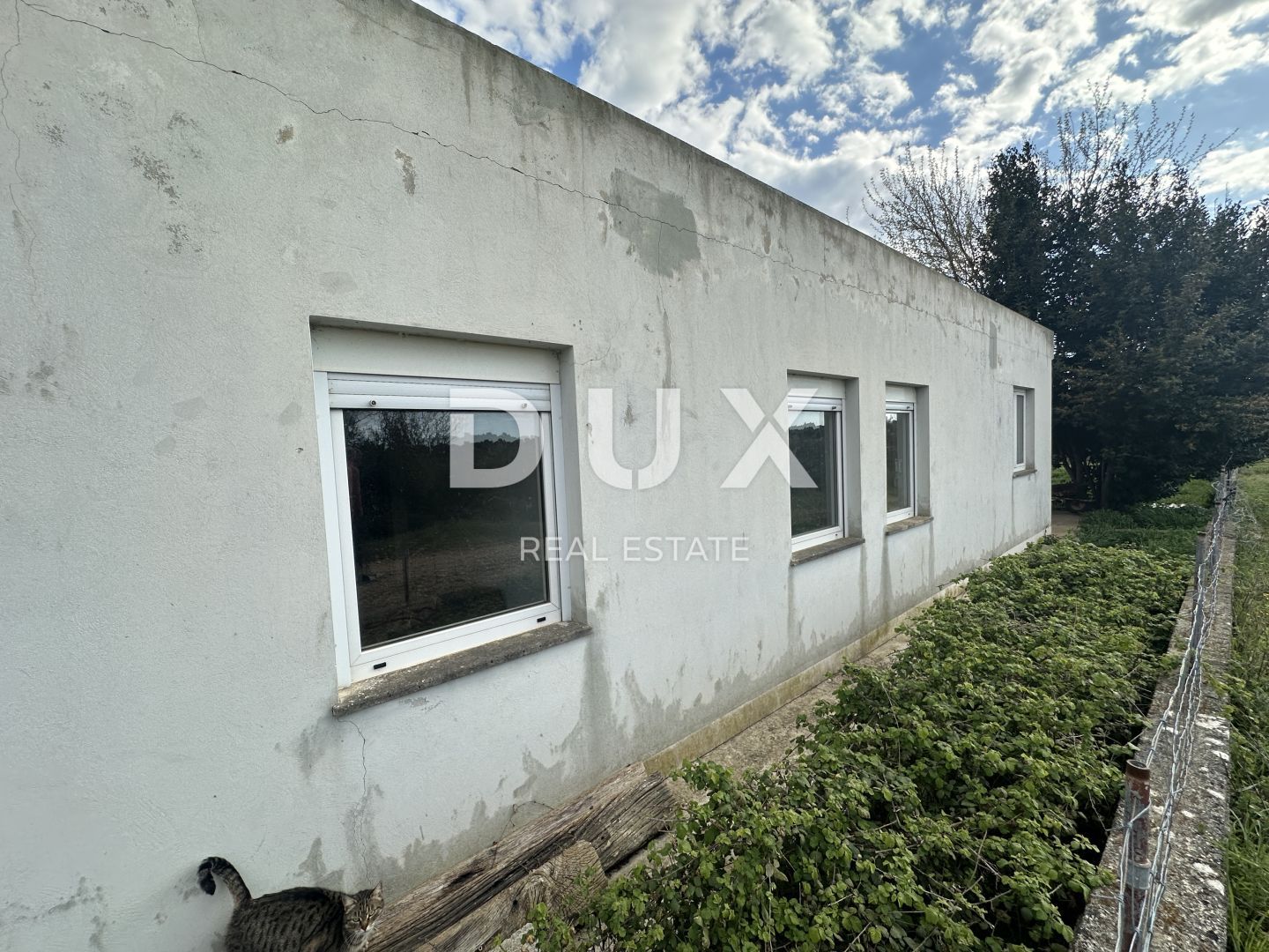 Fotografija