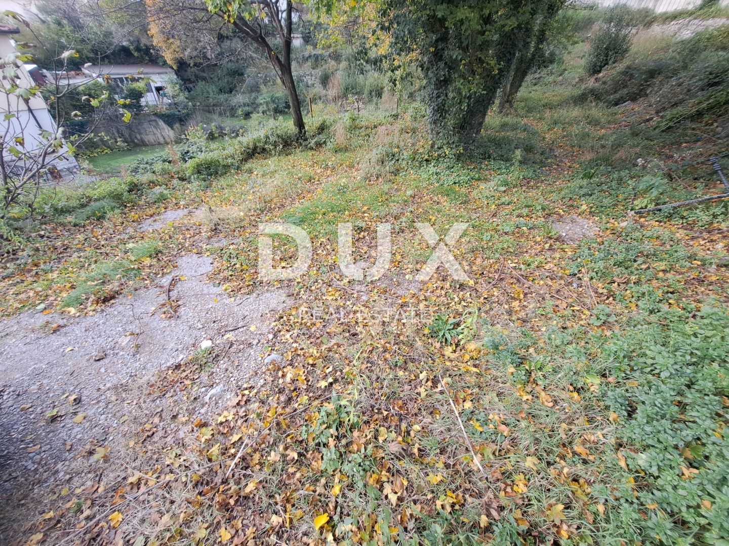 Fotografija