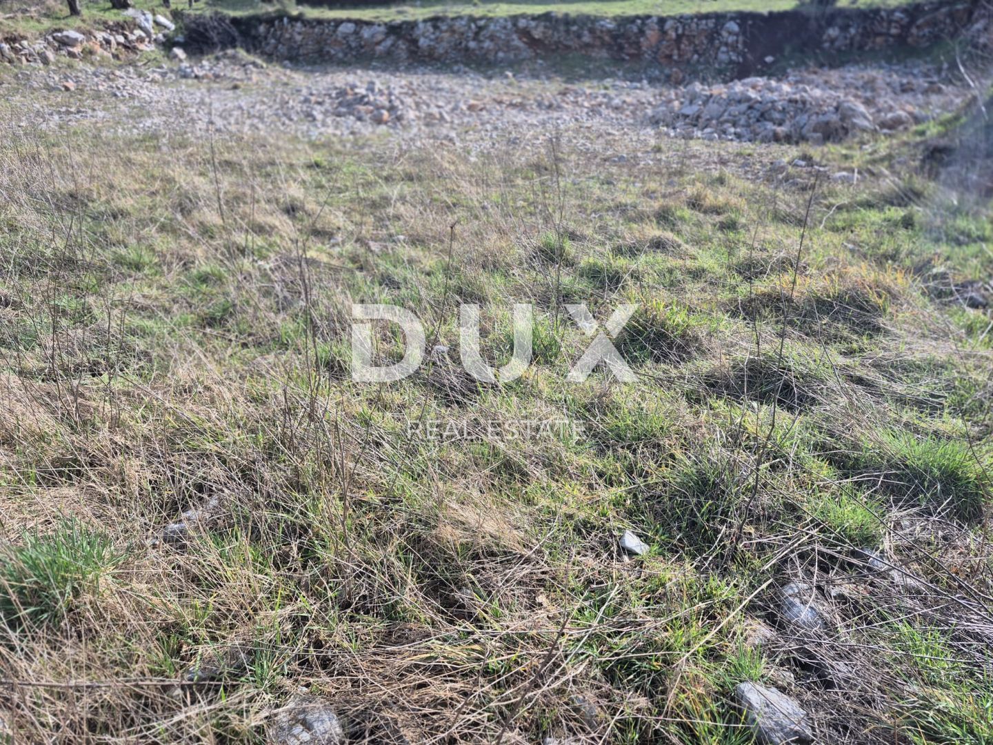 Fotografija