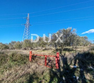 ZADAR, BRIŠEVO - Maslinik s 32 masline! 1180 m2! - cover