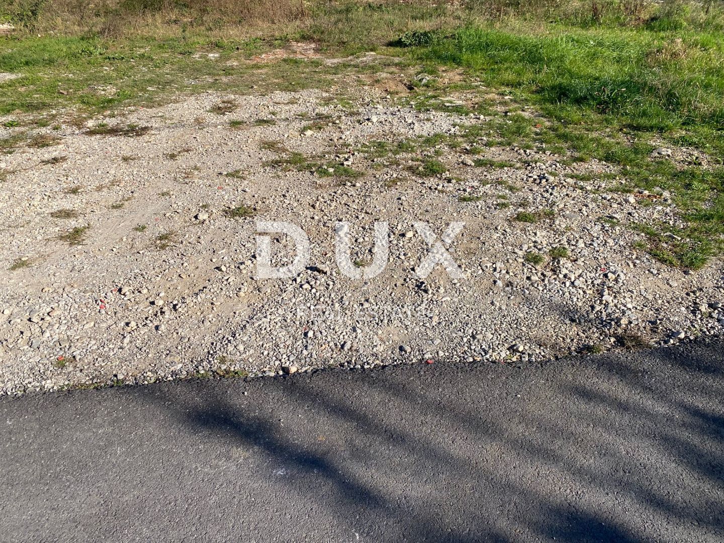 Fotografija