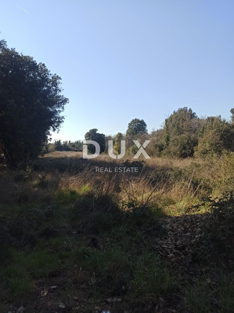 Fotografija