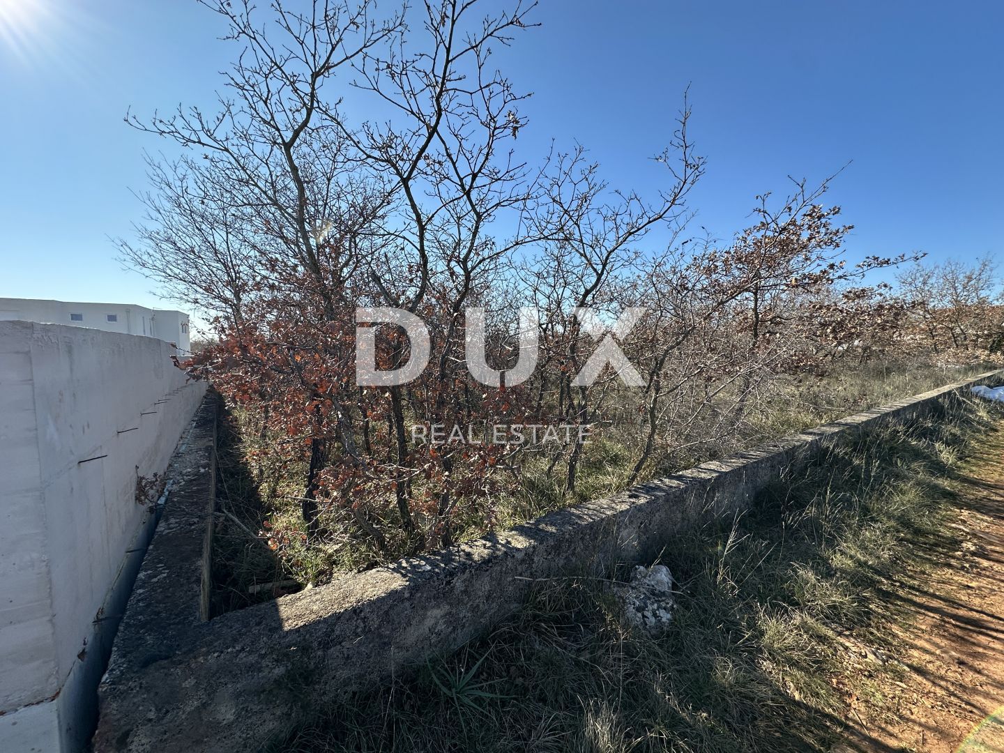 Fotografija