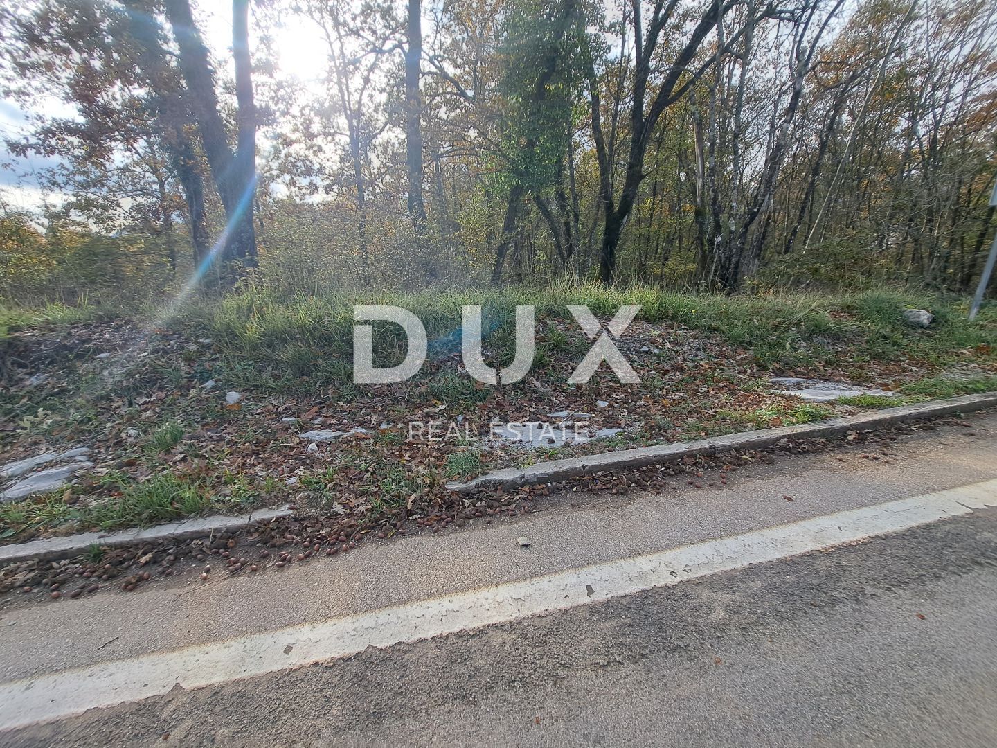 Fotografija