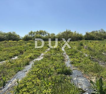 ZADAR, MURVICA - Poljoprivredno zemljište s potencijalom - 3000m² - cover